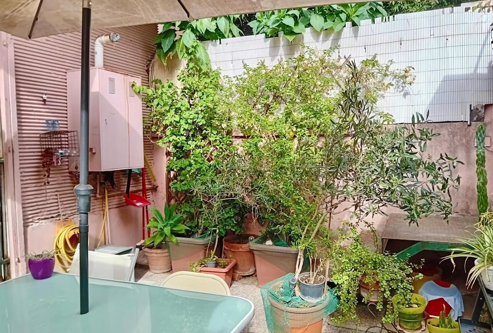 Apartment Delizioso Appartamento Con Ampio Giardino Rome Italy